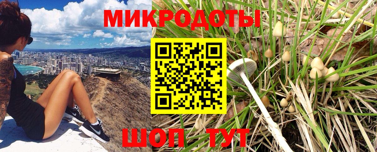 Псилоцибиновые грибы GOLDEN TEACHER Бузулук